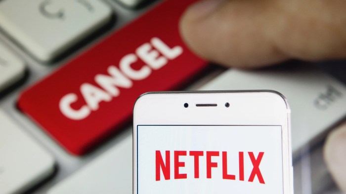 Netflix minus 1 million users spain no password sharing policy