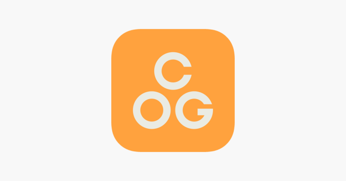 Cog adhd app launches