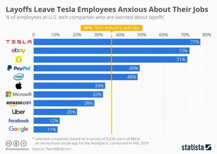 Tech job opportunities strong despite layoffs