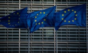 Eu wants government action against disinformation