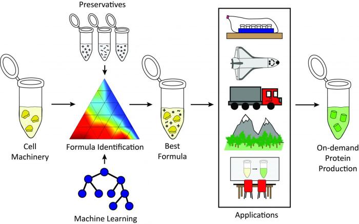 Fabricnano cell free biotech startup microplastics