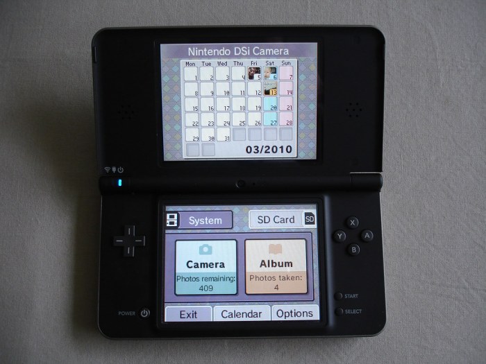 Nintendo dsi check amazingly realistic 3d camera game