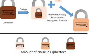 Zama holy grail cryptography fully homomorphic encryption