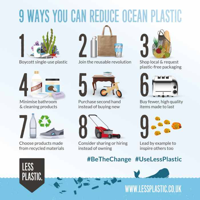 5 out of the box sustainability ideas from gelatinized marine waste to seaweed straws