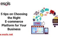 Business small ecommerce platform choose