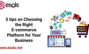 Business small ecommerce platform choose