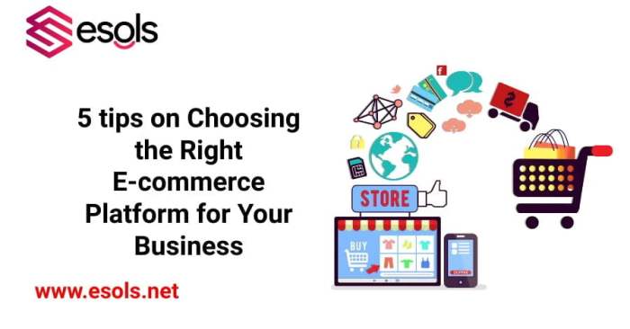 Business small ecommerce platform choose