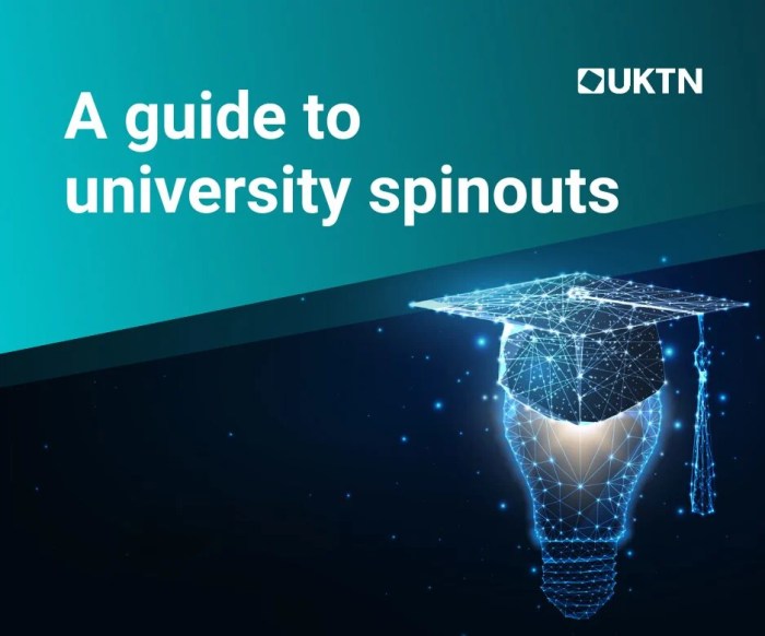 How to turn university spinouts in commercial success tnw conference