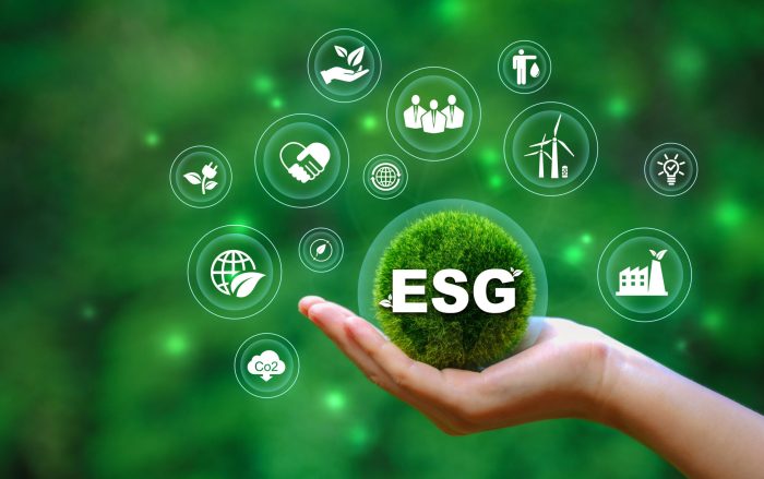 5 steps esg responsible software startup