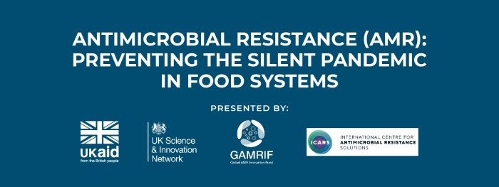 Finnish startup antimicrobial resistance silent pandemic