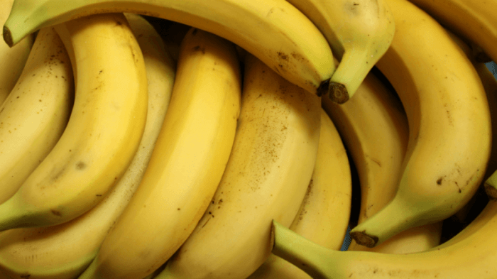 Phillipines approves gene editing browning bananas tropic biosciences