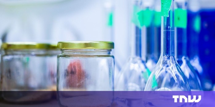 Biotech startup opens uk first pilot facility cultivated animal fat