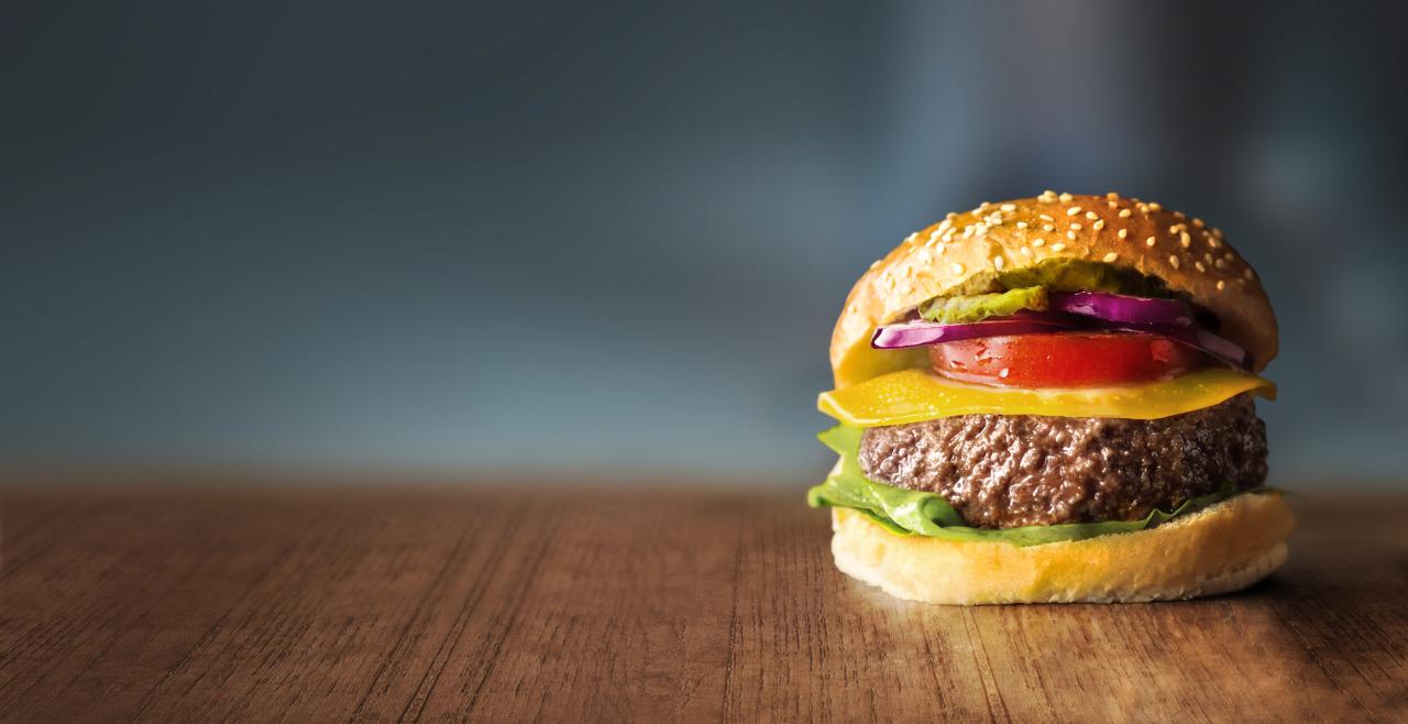 Dutch cultivated meat burger startup mosa funding