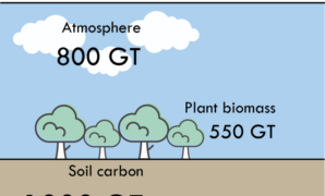 Climate tech investment ukraine farmers soil carbon credits