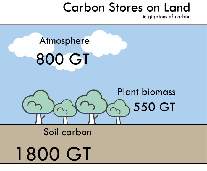 Climate tech investment ukraine farmers soil carbon credits