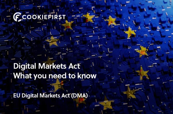 Eu dma big tech law missed opportunity