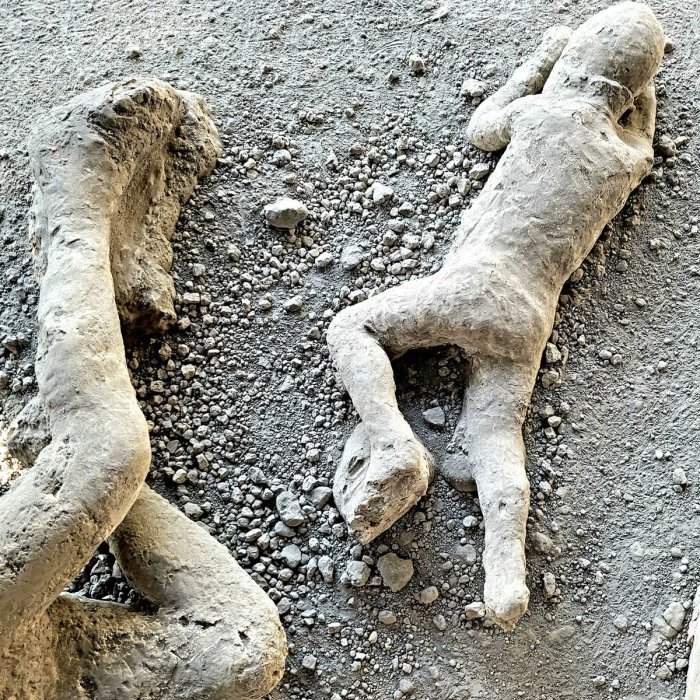 Xray tech uncovers how pompeiis fleeing residents met end