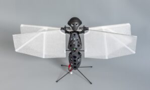 Are bioinspired drones next big thing unmanned flight