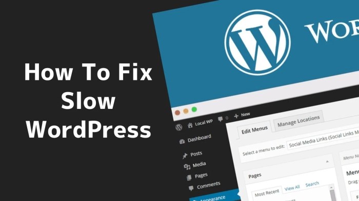 Your laggy wordpress site is annoying customers heres how to speed it up