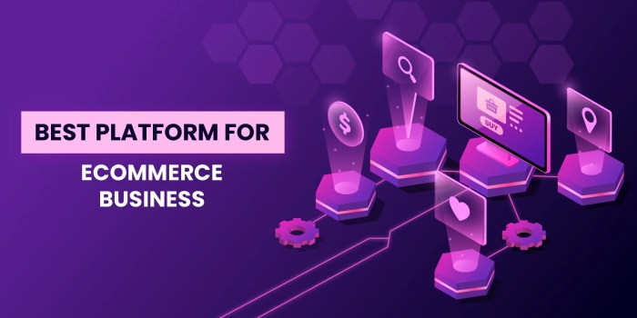 5 things look right e commerce platform business