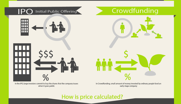 Ipo offering public initial example global dicey startups appear involved process idea come first time