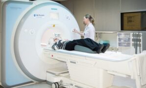 European mri study provides experimental evidence indicating the human brain quantum