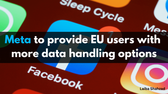 Meta ad free service eu users data privacy