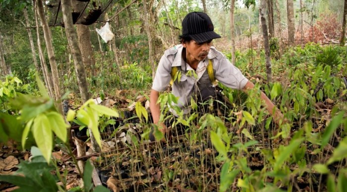 Carbon offset data startup treefera raises e2m to map forests with ai