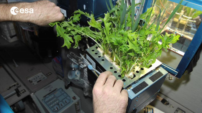 European space agency unveils new plan for growing plants on the moon