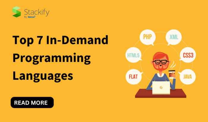 7 most in demand programming languages *