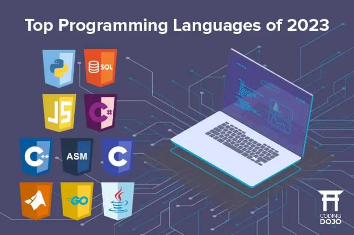 7 most in demand programming languages *