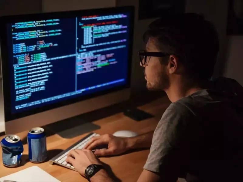 Zig highest paying programming language