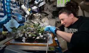 Astronauts gardening crops elin doris urrutia