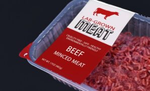 Uncommon bags 28 million scale lab grown meat rna technology