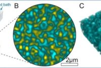 Bluebird inspired material boost battery life