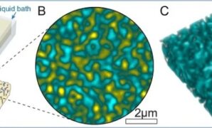 Bluebird inspired material boost battery life