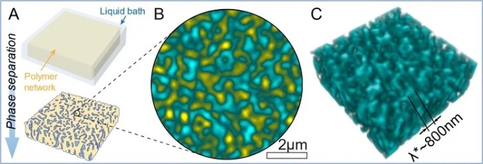 Bluebird inspired material boost battery life