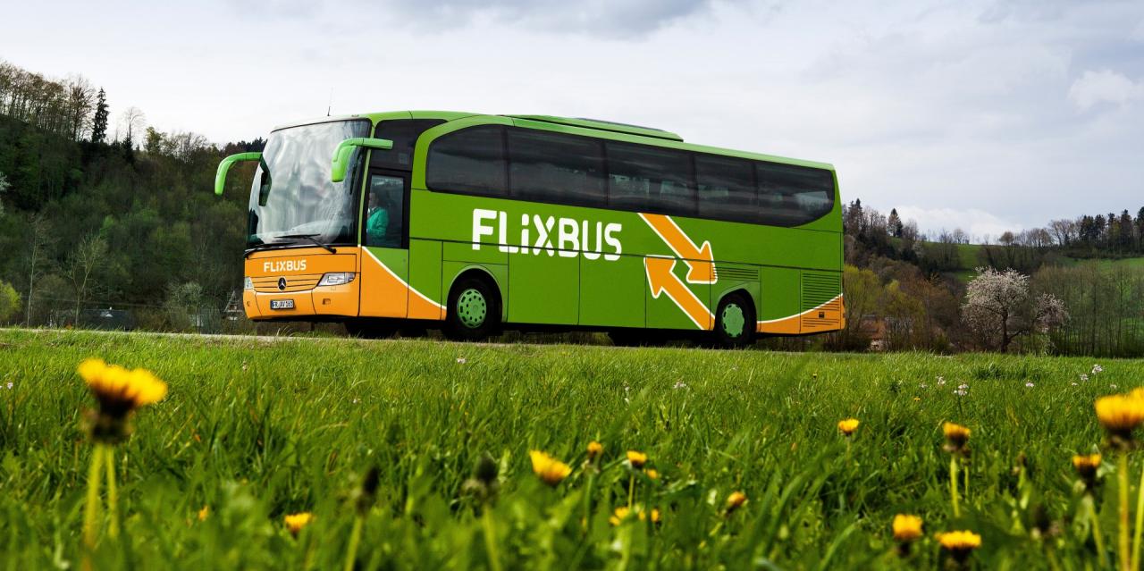 Flixs big green trains could be en route to the netherlands