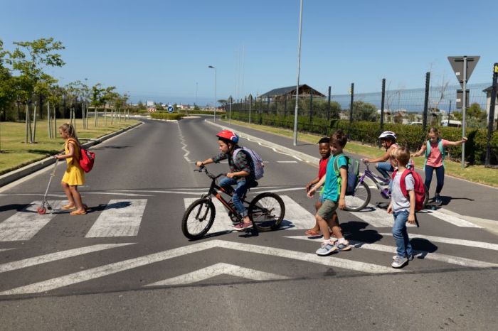 Driverless cars pedestrian detection age race biases