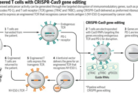 World first crispr therapy approved uk