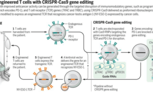 World first crispr therapy approved uk