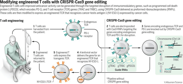 World first crispr therapy approved uk