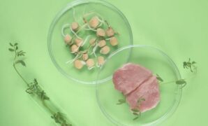 Stem cells to supermarket promise cultivated meat meatable