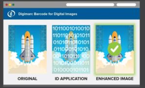 Castlabs watermarking stops piracy ip protection