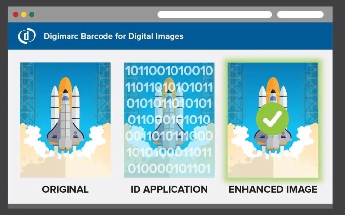 Castlabs watermarking stops piracy ip protection