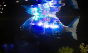 Open source fish robot starts collecting microplastics from lakes uk