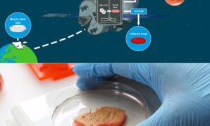 Cultivated meat promising space food astronauts esa