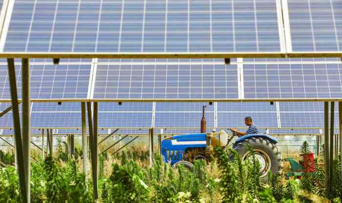 Europe solar power agriculture agrivoltaics