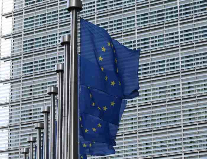 Eu challenges meta to duel over targeted advertising