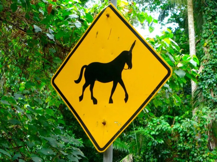 Startup unicorns billion unicorn spotting dollar next pitchbook valued than